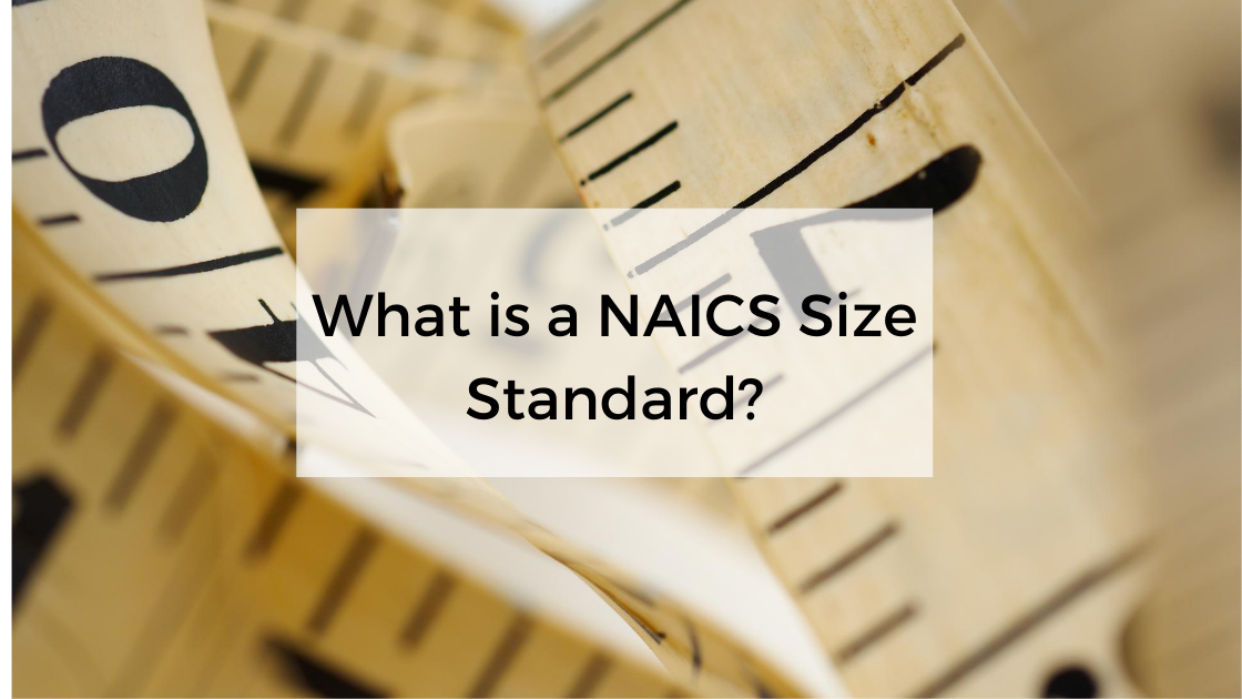 What is a NAICS Size Standard?